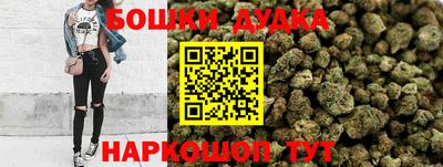 прущие крисы Будённовск